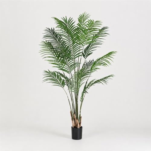 ヤシ の木 鉢植え」の人気商品一覧・価格比較 - 価格.com